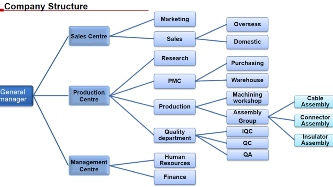 What are the key roles in technology-based companies?